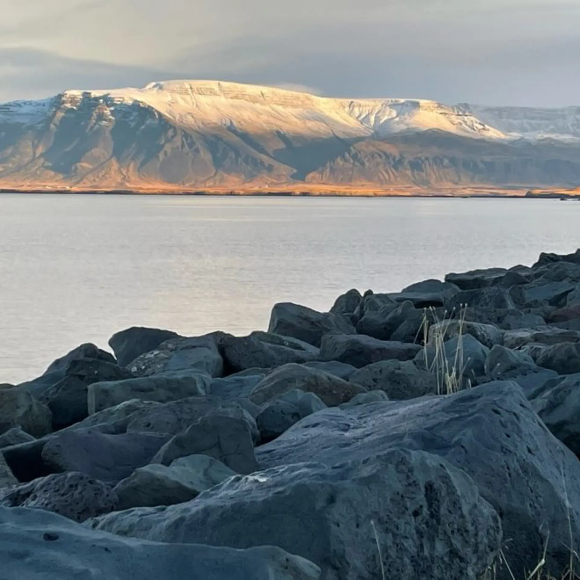Oplæring I Udlandet
